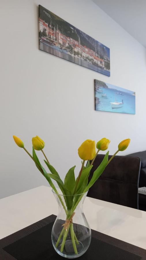 Lux Apartman Antonija ماكارسكا المظهر الخارجي الصورة